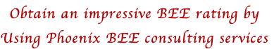 Obtain an impressive BEE rating by
Using Phoenix BEE consulting services
